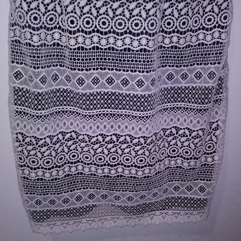 NWT Cynthia Steffe Trudy Embroidered Eyelet Dress - Picture 5 of 7